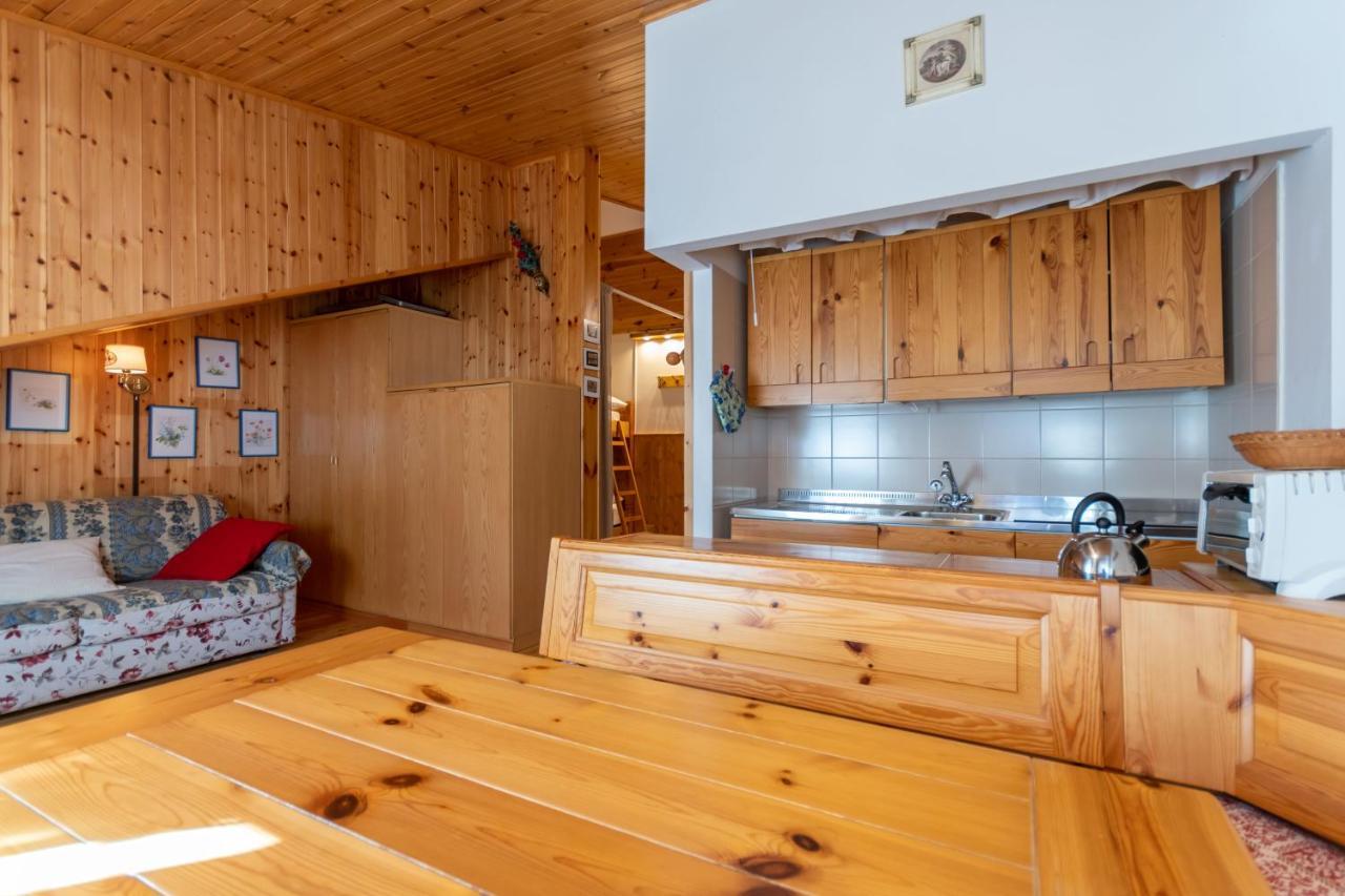 Petit Arnica Διαμέρισμα Selva di Cadore Εξωτερικό φωτογραφία